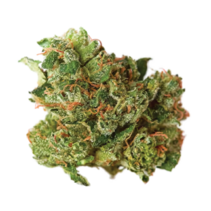 AK 47