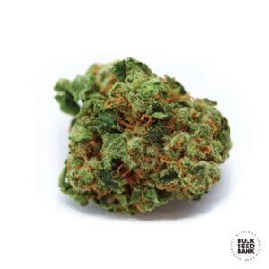 Bigger Bud