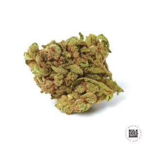 Blueberry