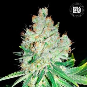 Blue Cheese