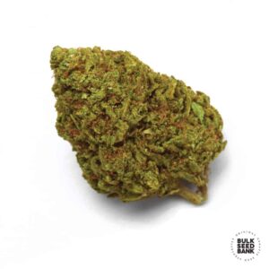 Blue Cheese