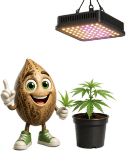 Animated coconut beside potted cannabis plant, LED grow light, and green clock.