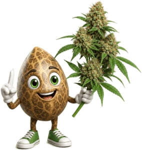 Cartoon spotted egg character holding a large cannabis plant with green leaves and buds